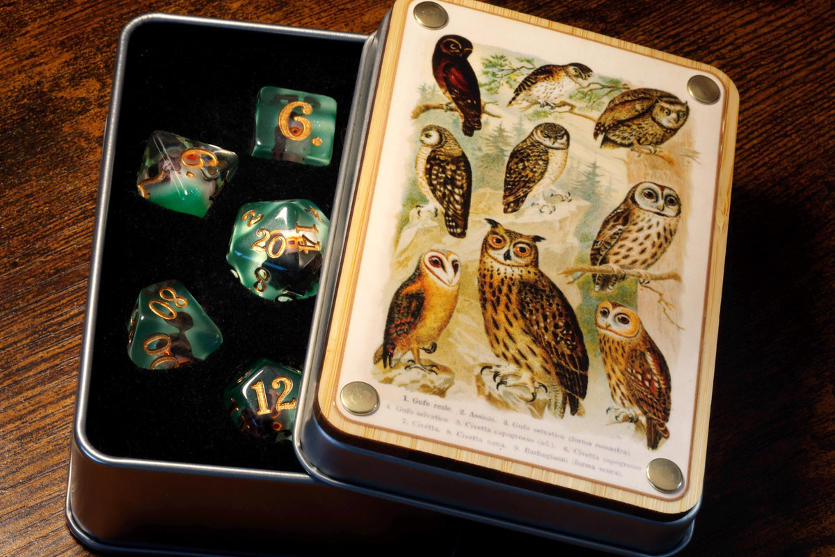 Histoire naturelle Hibou – Boîte à dés et ensemble de 7 dés – Inclusions de hiboux sur couche verte