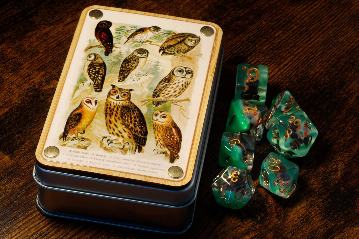 Histoire naturelle Hibou – Boîte à dés et ensemble de 7 dés – Inclusions de hiboux sur couche verte