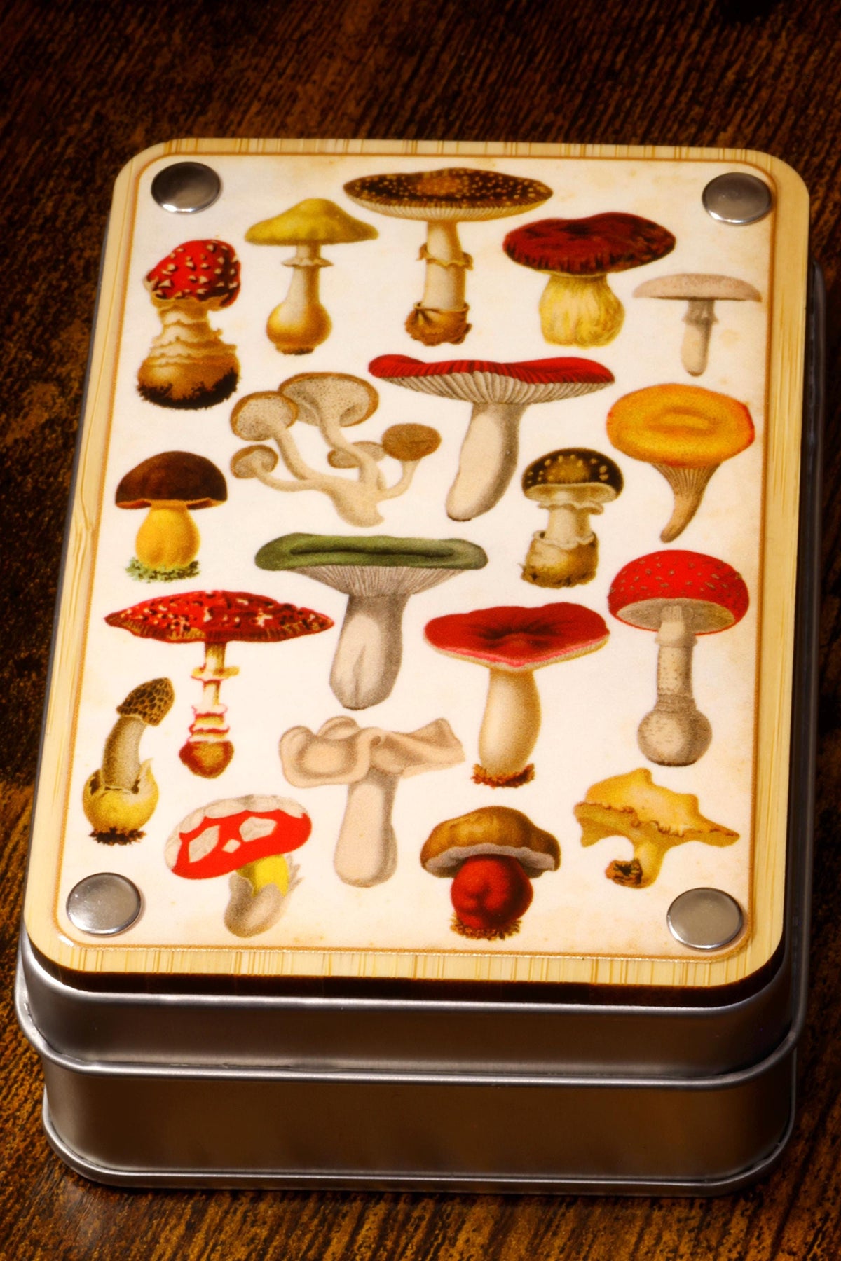 Botanical Mushroom Dice Vault and dice set - The Wizard's Vault