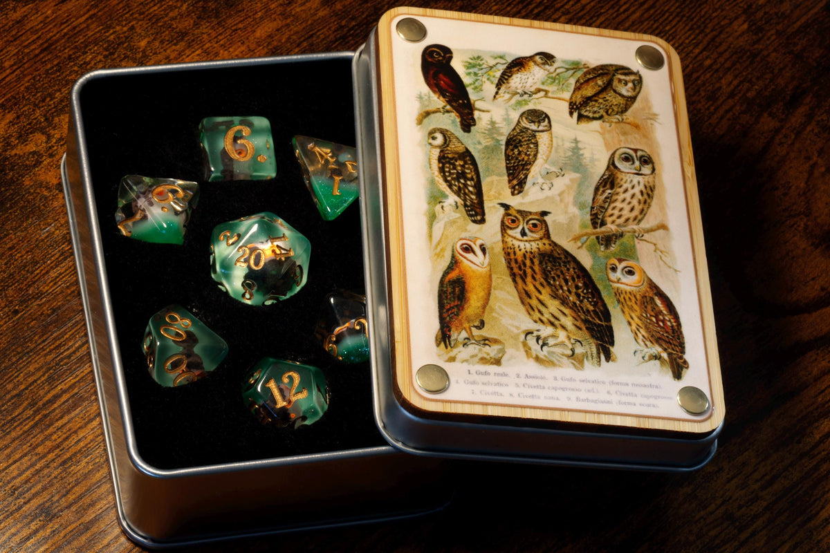 Histoire naturelle Hibou – Boîte à dés et ensemble de 7 dés – Inclusions de hiboux sur couche verte