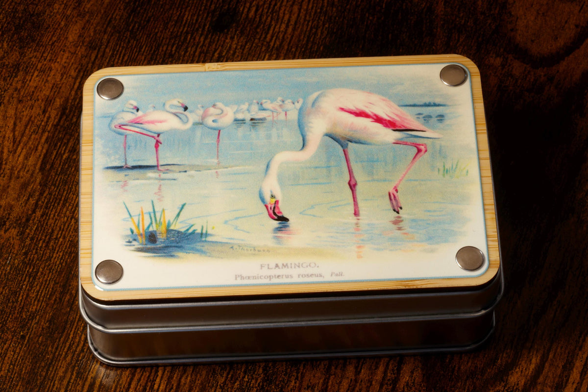 Natural History flamingoes dice box and set - The Wizard's Vault