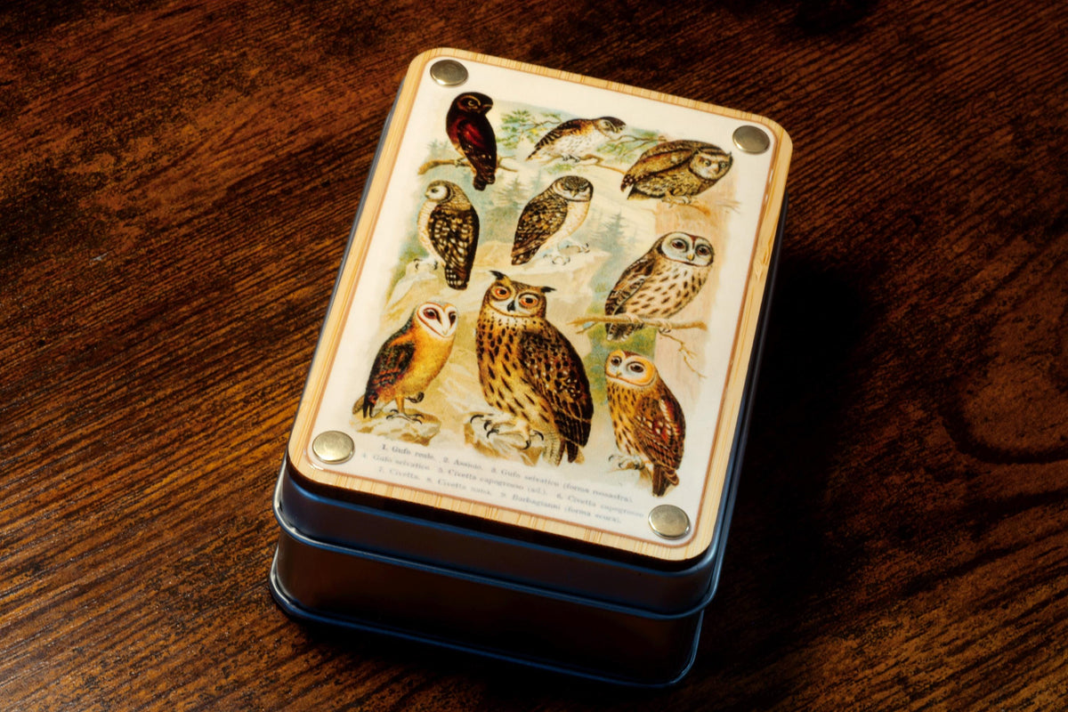 Histoire naturelle Hibou – Boîte à dés et ensemble de 7 dés – Inclusions de hiboux sur couche verte