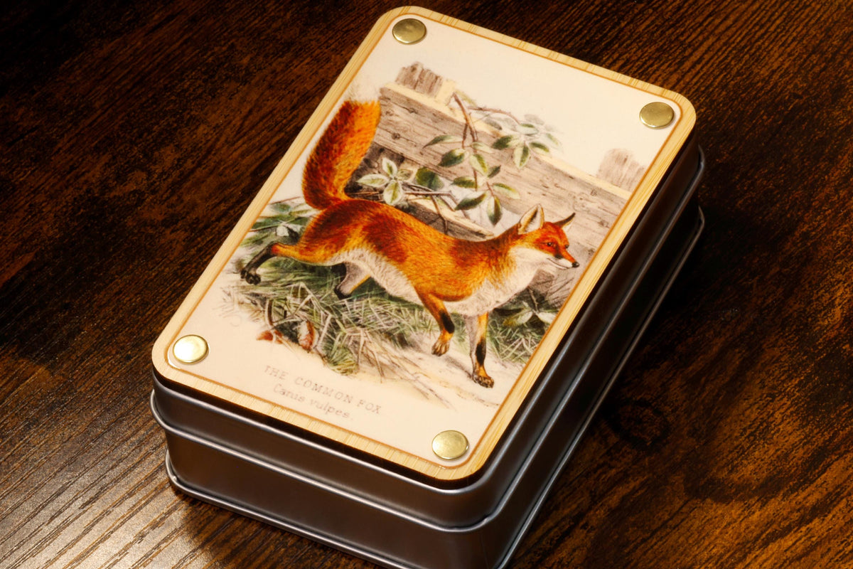 Natural History Vigilant Fox Dice Box and Dice Set - The Wizard's Vault