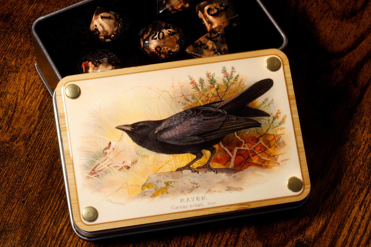 Raven dice box and Skull dice set - The Wizard's Vault