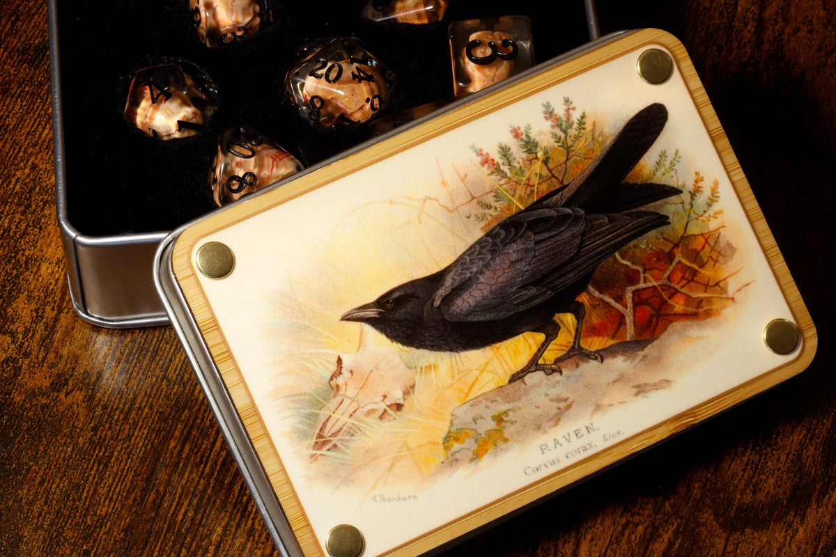 Raven dice box and Skull dice set - The Wizard's Vault