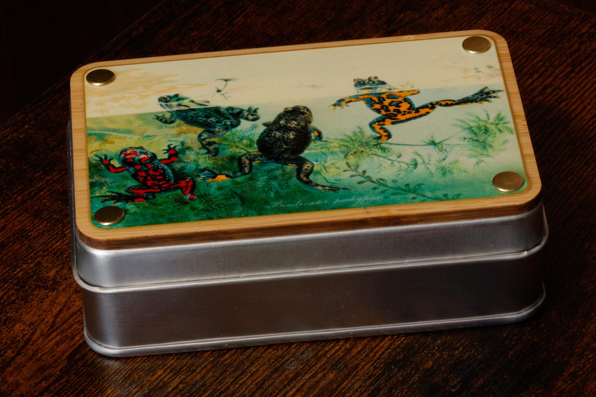 Natural History Tropical Frog Dice Box