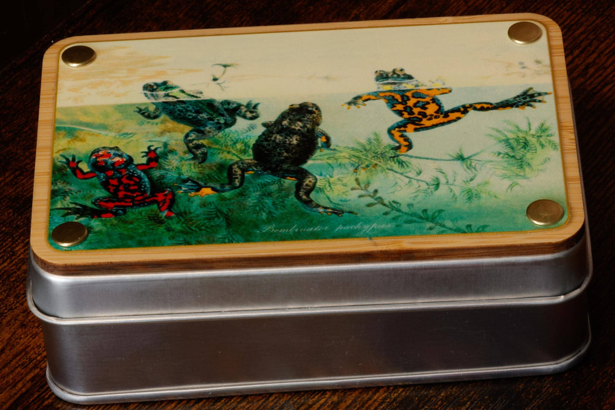 Natural History Tropical Frog Dice Box